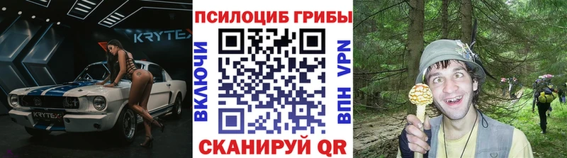 Псилоцибиновые грибы мицелий  Купить закладки  Благодарный 
